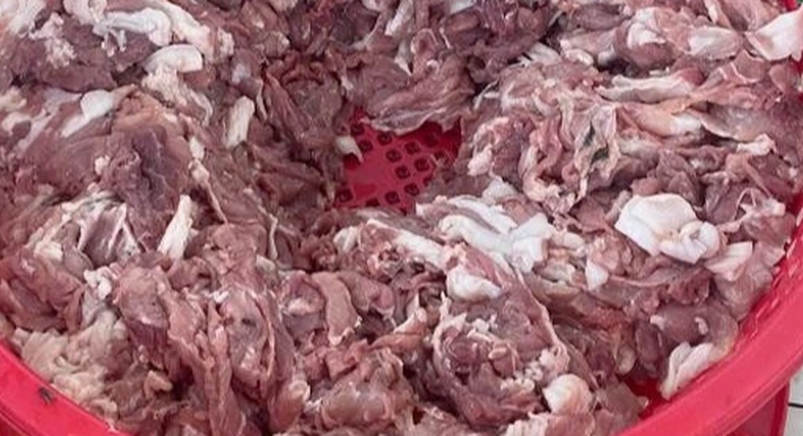 SỰ THẬT GỐC RỄ VỀ HÀNG TRĂM TẤN THỊT LỢN BẨN ĐANG NGẬP TRÊN THỊ TRƯỜNG VÀ BẾP ĂN TRƯỜNG HỌC!