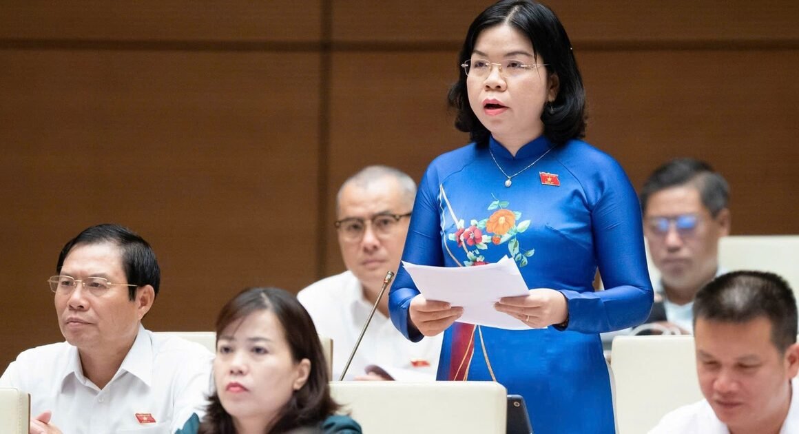 KHÁM PHÁ VAI TRÒ CỦA ĐẠI BIỂU TRẺ: CHINH PHỤC THÁCH THỨC VÀ GÌA NÊN BẢN LĨNH NGHỊ TRƯỜNG