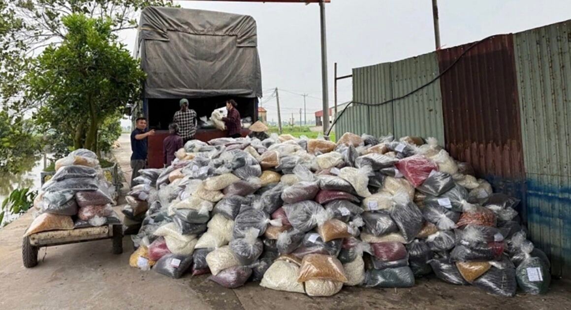 TRIỆU ĐỒNG KHÁM PHÁ – CỰU CẢN BẠ HẢI QUAN GẶP DOANH NGHIỆP VẬT LỘN, CHIẾU CHỤC TRONG TRẢI KẾ HOẠCH ĐỒI TRÁNH TRÁI PHÉP!