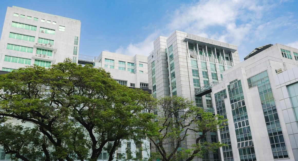 VIỆT NAM LẬP KỶ LỤC ĐẠI HỌC CAO NHẤT TỪ TRƯỚC ĐẾN NAY, ĐÓN CHIỀU CHÀO NHẬN ĐÁNG KỂ TỪ QS!