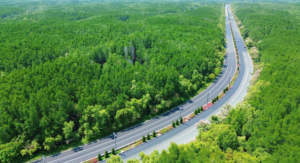 Khám phá con đường trải nhựa phẳng lỳ giữa không gian xanh mướt, điểm nhấn là những tán hoa KÈN HỒNG nở rộ, dịu dàng trong sắc hồng.