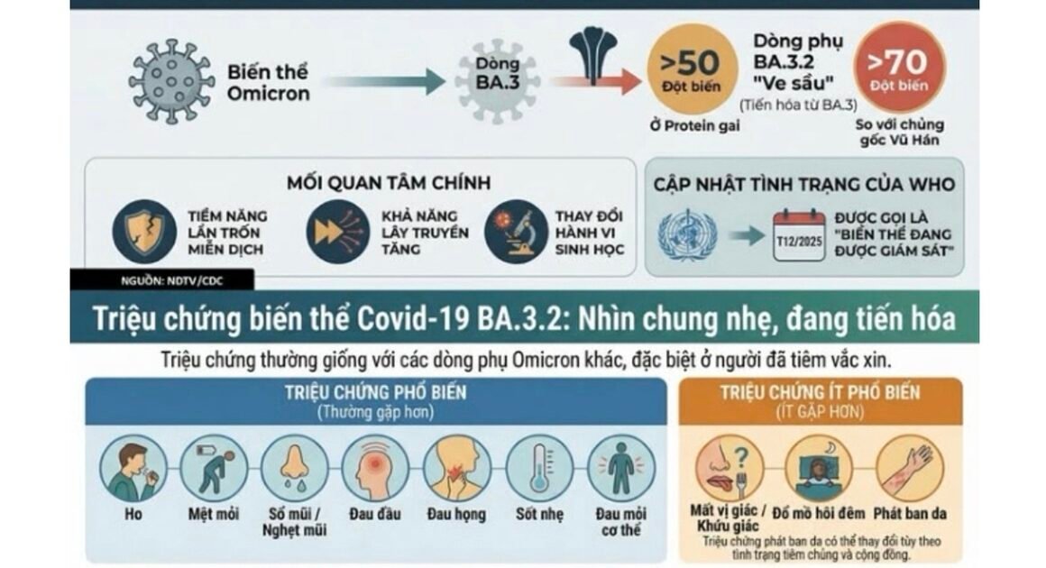 KHÁM PHÁ BIẾN THỂ MỚI: CƠ CHẾ TỰ NHIÊN CỦA VI RÚT VÀ THÁCH THỨC CHO CỘNG ĐỒNG!