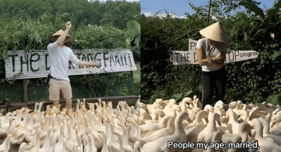 BỎ GẦN 200.000 ĐỒNG, TRẢI NGHIỆM LÀM “THỦ LĨNH ĐÀN VỊT” – CUỘC HỮU HẢO NÔNG THÔN ĐANG GÂY SỐT TẠI VIỆT NAM!