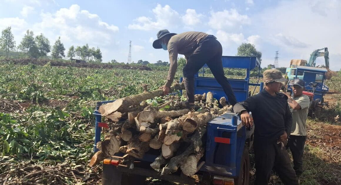 DỰ ÁN CAO TỐC QUY NHƠN PLEIKU ĐANG GÂY CHU MÀU VỚI NHỮNG MẬT BÍT GAY CẤN!