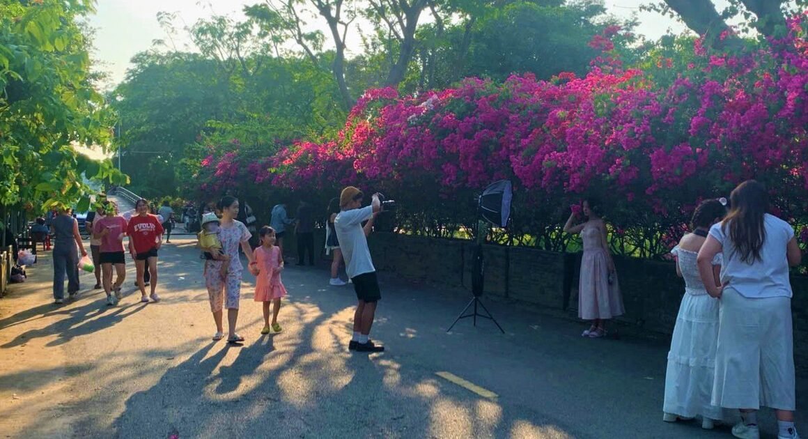 KHÔNG GIAN XANH YÊN BUNG TỎI HOA GIẤY, BẠN ĐÃ TỪNG CẢM NHẬN CHƯA?