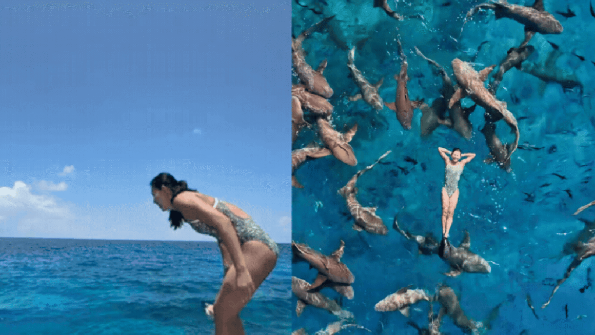 ÁNH VIÊN BẠT CHẤP TRƯỚC NHỮNG CHIẾC CÁ MẬP ĐẬM CHẤT KỊCH TẠI MALDIVES!