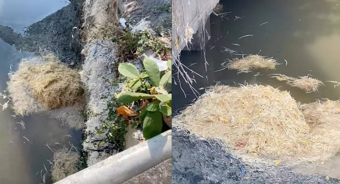 HÀNH ĐỘNG XẢ THẢI CHẤT THẢI GÂY BỨC XÚC CỦA ÔNG N.V.H KHIỀU NGƯỜI GẦN CHỢ BẮT KHÔNG NGỜ!