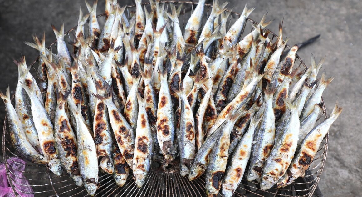 CÁ TRÍCH – TỪ LOÀI CÁ PHỔ BIẾN ĐẾN MÓN ĂN GÂY SỐT MẠNG XH MỚI NHẤT, MỞ RA TRIỂN VỌNG MỚI CHO NGƯ DÂN NGHỆ AN!