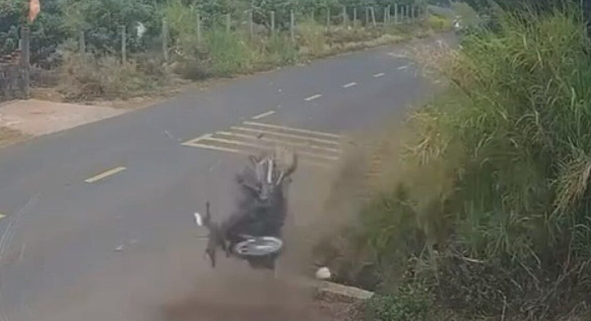 AI ĐANG GÂY CHUẨN BỊ CHO BÂY GIỜ?