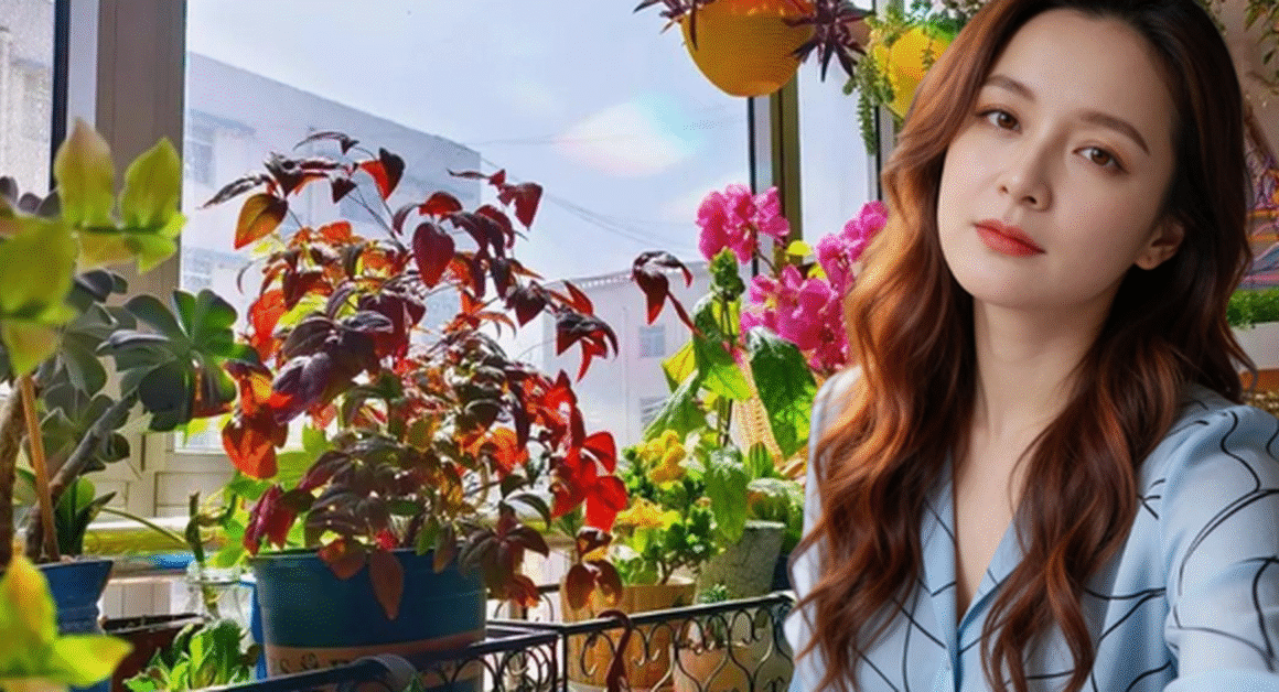 KHÁM PHÁ GÓC BAN CÔNG BIẾN THẦN THÁI TỪ CHIẾC CHẬU CÂY VÀ BÀN NHỎ CHỈ TRONG VÀI BƯỚC!