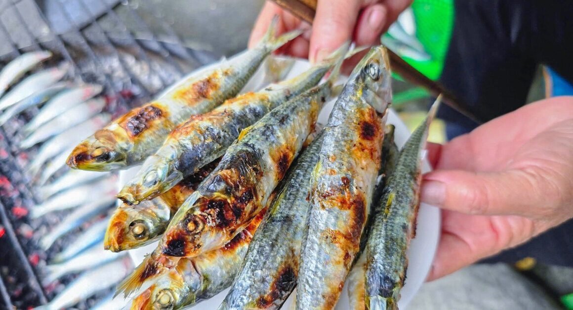 KHÁM PHÁ CÁC CON CÁ TRUYỀN THỐNG “LỘC BIỂN” ĐANG GÂY SÓNG GẦN GŨI NGƯỜI VIỆT NAM!