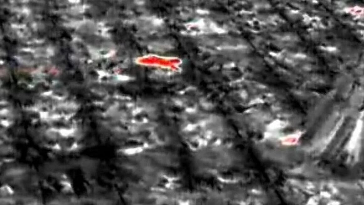 LING KHÔNG AI BIẾT KHUNG GIỜ ĐÊM, ĐIỀU GÌ ĐANG LẨN KHUẤT NGOÀI VƯỜN MÀ CHOẢNG BỊ XÉ RÁCH VÀ GÃY ĐỔ?