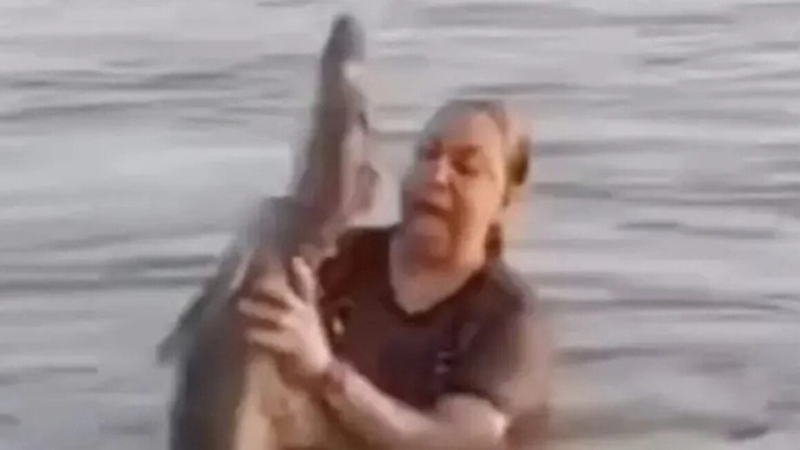 KHÓI CẢM GIẬN VÀ SỐC TỪ CUỘC CHIẾN VỚI KHÚC GỖ TRỞ THÀNH CON CÁ SẤU SỐNG SÓT!