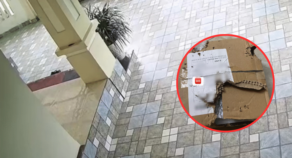 DƯ LUẬN ĐƠN HÀNG KHÔNG CÓ CHÂN, VẬY SAO VẬY, NÓ VẪN BIẾN MẤT KHỎI HỆ THỐNG?