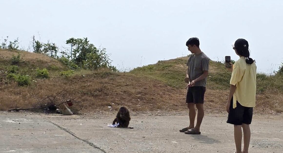 KHỈ ĐÁ ĐÁK LẮK KHÔNG CHƠI, GÂY RỐI LOẠN CHO DU KHÁCH CHỈ TRONG 2 NGÀY!