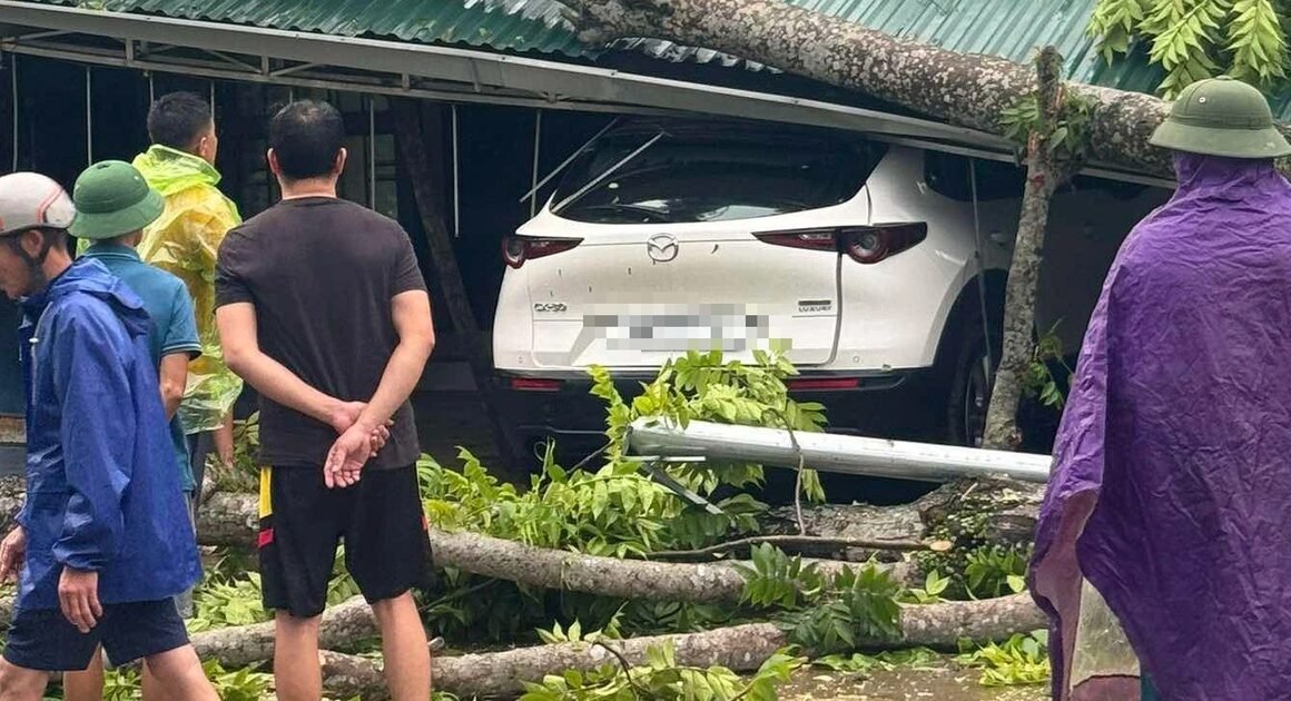 KHIẾN NƯỚC NỔI GIÓ LỐC VÀ MƯA ĐÁ ĐÁNG SỢ, CƯ DÂN TẤN CÔNG, THIỆT HẠI NẶNG NỀ!