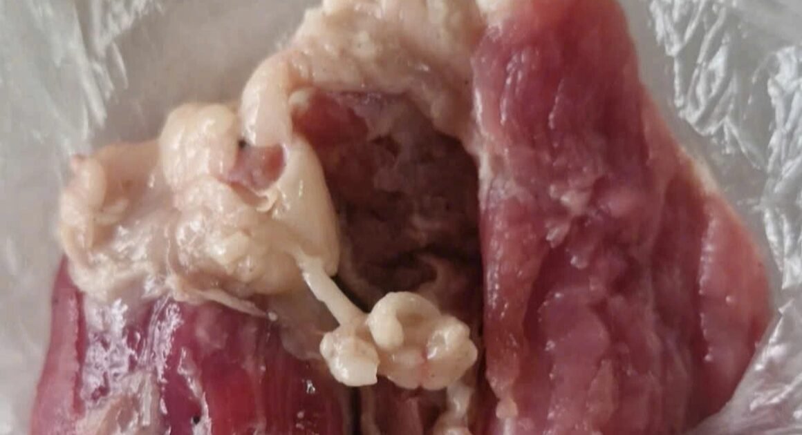 PHỤ HUYNH PHÁT HIỆN THỊT LỢN GÂY NGHI NGỜ BÁO ĐỘC, KIỂM NGHIỆM XÁC ĐỊNH CHỨA E.COLI VÀ VIRUS DỊCH TẢ LỢN CHÂU PHI!