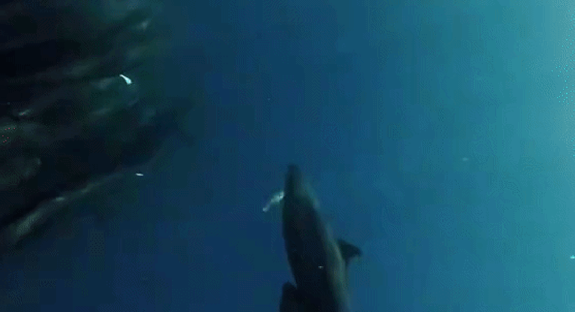 KHÁM PHÁ BỨC TRANH THIÊN NHIÊN KHIẾN CỘNG ĐỒNG MẮT TRÂU, ĐỂ XEM NHÂN PHẨM DU KHÁCH ĐÁP ỨNG NHƯ THẾ NÀO!