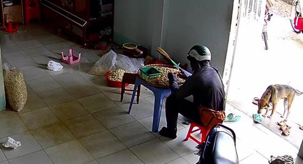 KHÁM PHÁ NHỮNG ĐIỀU LẠ MÀ ĐÁNG YÊU BẬC NHẤT!