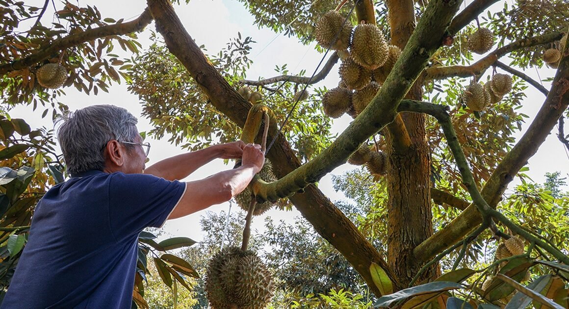KHÁM PHÁ CƠ HỘI VƯỢT BẬC THỊ TRƯỜNG TRUNG QUỐC – CHÌA KHÓA ĐẨY MẠNH XUẤT KHẨU VỀ VIỆT NAM!