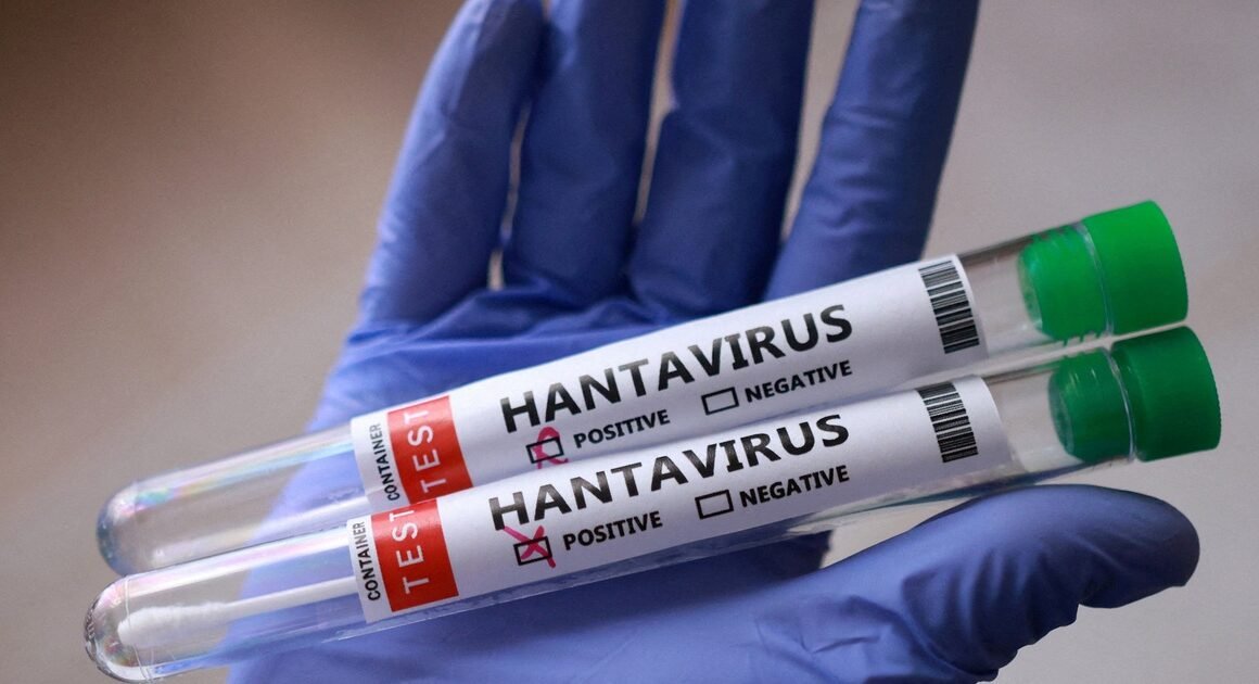6 ca nhiễm virus hanta từ du thuyền MV Hondius: BIẾN THỂ ANDES có thể lây từ người sang người.