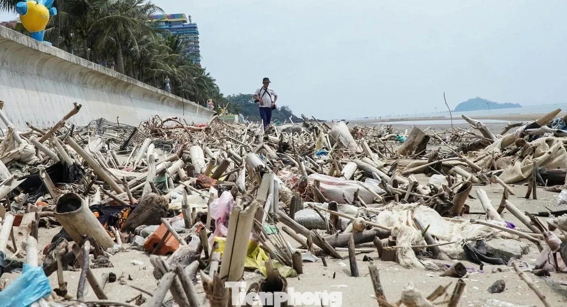 BÃI BIỂN HẢI TIẾN NGUY CƠ NGÀY CÀNG GÂY TAI NẠN VÌ RÁC VÀ RỄ CÂY CHỒNG CHỀNH GIƠI NĂNG NGẦU!