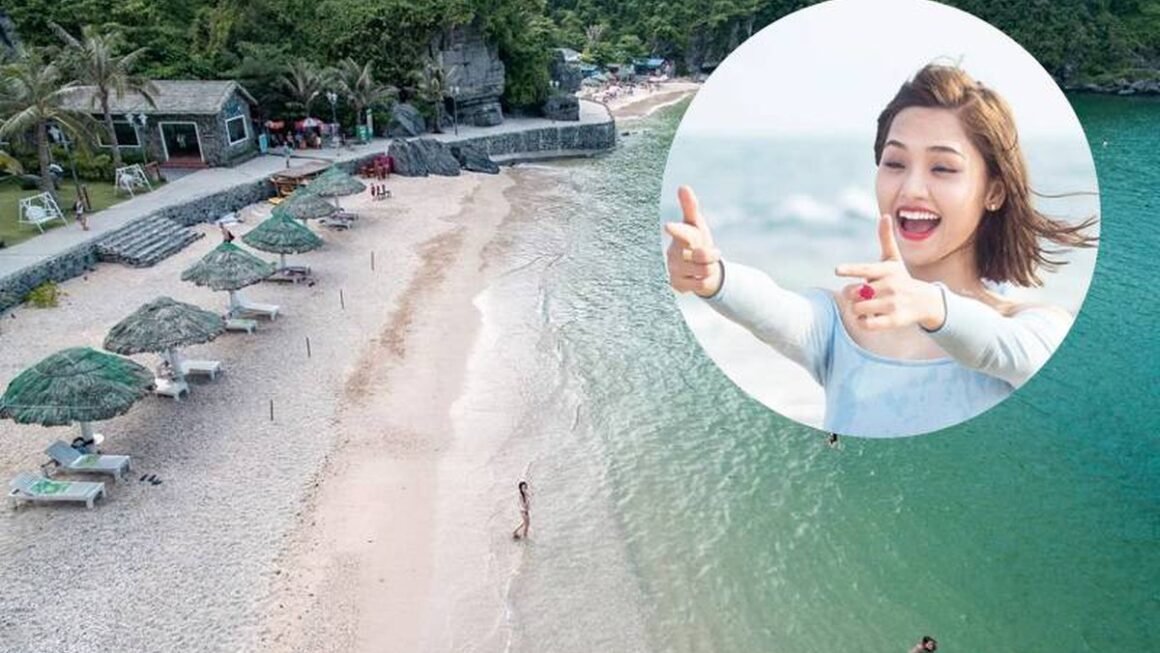 AI CẬP NHẬT SỐC: CA SĨ MIU LÊ TRONG VỤ VIỆC SỬ DỤNG TRÁI PHÉP CHẤT MA TÚY TẠI HẢI PHÒNG!