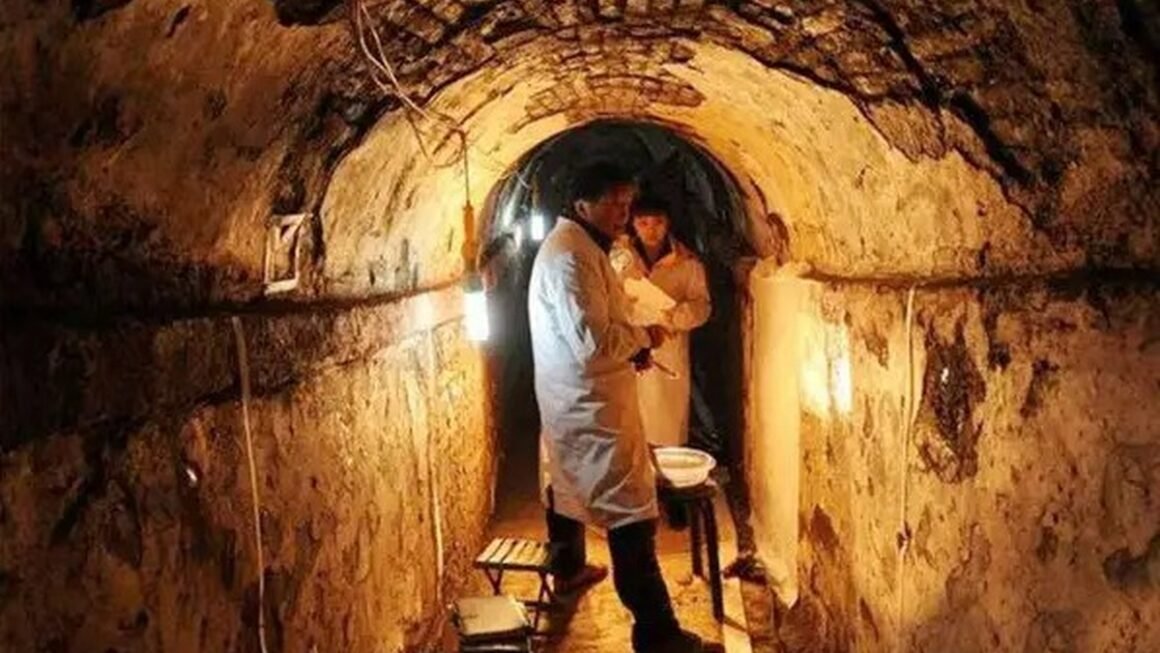 KHÁM PHÁ GIẤC MƠ ĐƯỢC BÁO ĐỘNG: HÀI CỐT CAO TĂNG BÁN VẠI PHÁT HIỆN DẤU HIỆU CỦA “QUÁI THÚ” SỐNG TRONG NGÔI MỘ CỔ