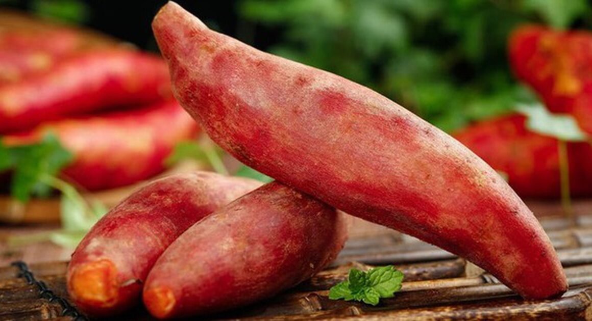 BÍ ẨN ĐÁNG KINH NGẠC VỀ AIU CHẾ ĐỔI MẮT HÔN SAU KHI CHOĂN KHOAI LANG SUYẾT NGHIỆM!