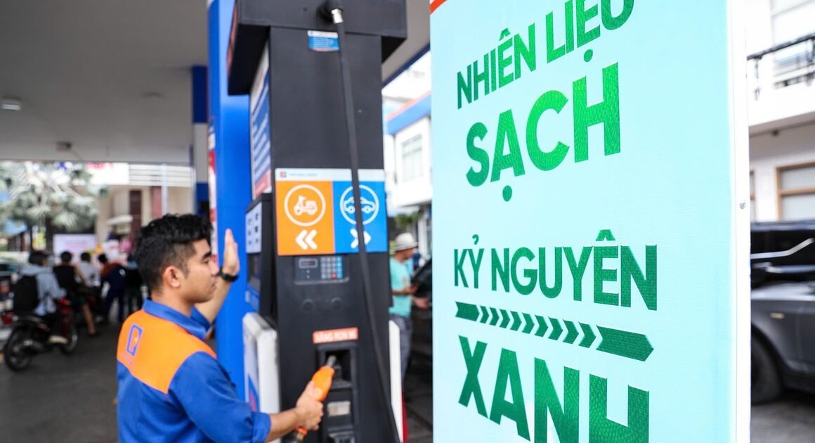 LƯỠNG LỰA NHIÊN LIỆU NHIỀU LOẠI: CÁCH NÀO VƯỢT QUA GÓC KHỎI TIỀN TÀI VÀ MỤC TIÊU XANH?