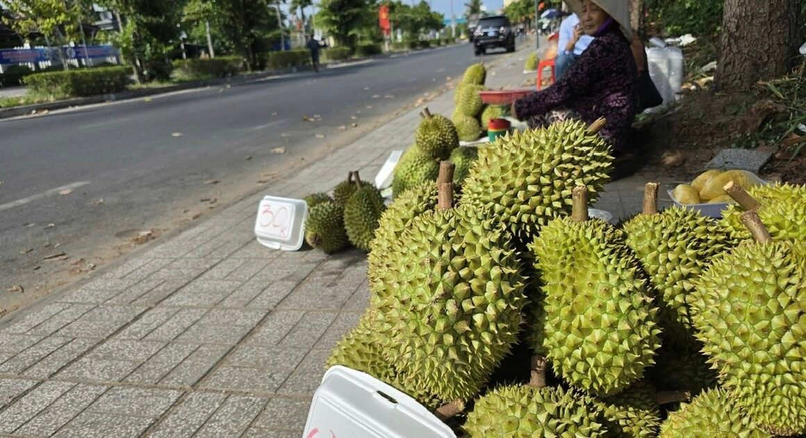 SẦU RIÊNG – VUA TRÁI CÂY GIÁ RỚT THẢM, CHUYỆN GÌ ĐANG CHỜ ĐỢI NGÀNH HÀNG TRĂM TỶ?