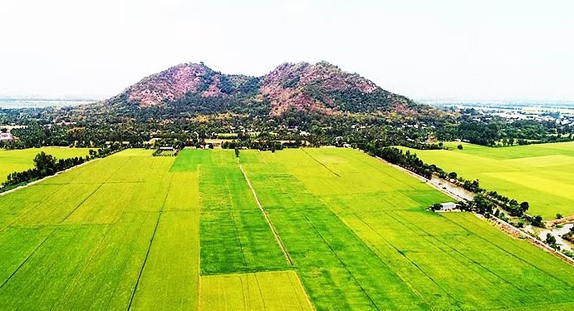 KHÁM PHÁ BÁN VÀNG KHI MƯA LỚN, NGƯỜI DÂN Ở NGÔI LÀNG ĐÃ GẶP GỠ ĐIỀU KỲ LẠ!