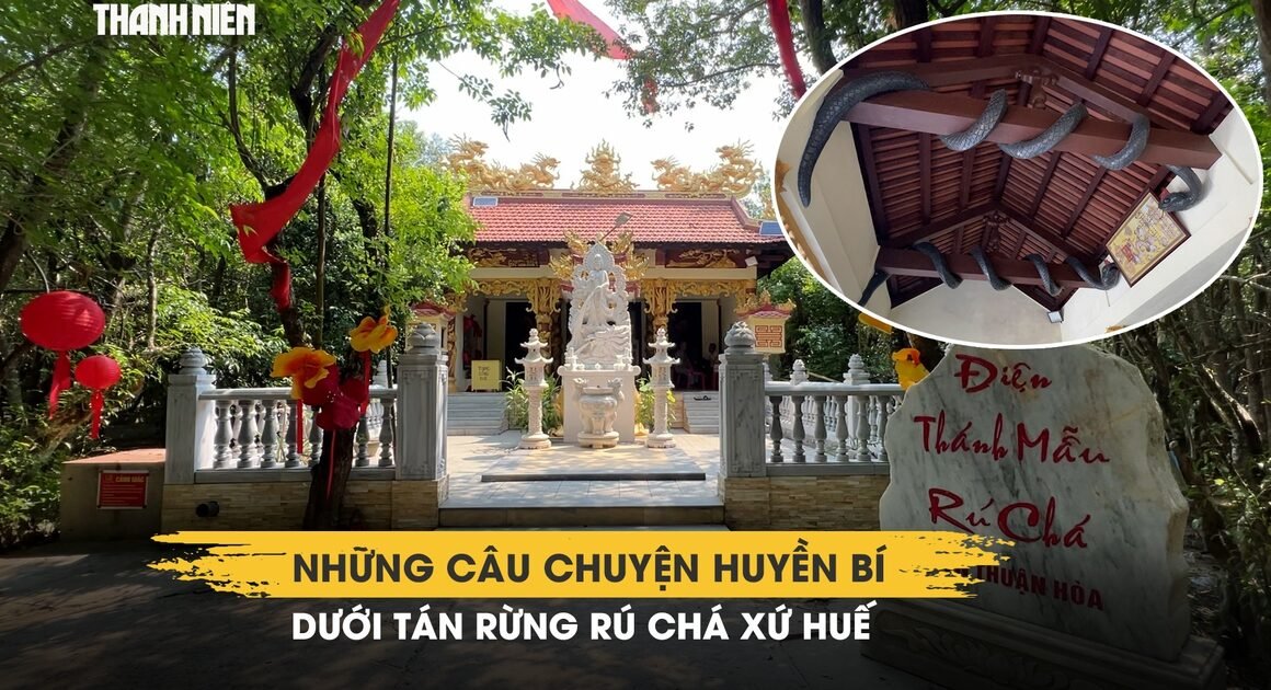 KHÁM PHÁ NƠI CHỨA ĐỰNG HỒN DI SẢN VÀ BÍ MẬT CHIỀU CHIẾN TRONG RÚ CHÁ THUỘC THÀNH PHỐ HUẾ