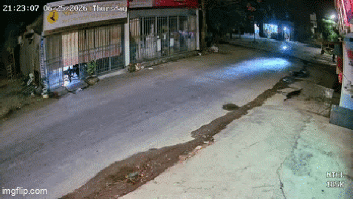 KHÁM PHÁ SỰ THẬT ĐẰNG SAU ĐOẠN CLIP GÂY BÃO TRÊN FANPAGE CÔNG AN XÃ QUỲNH ANH!