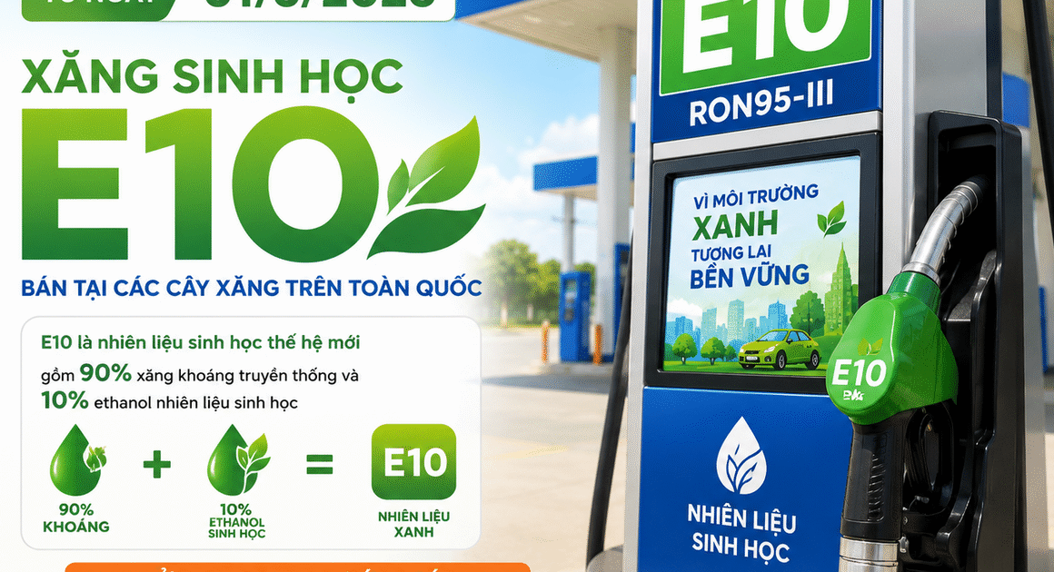 TÙY THUỘC VÀO Nghị quyết của Chính phủ, GIÁ XĂNG E10 sẽ THAY ĐỔI NHƯ THẾ NÀO?