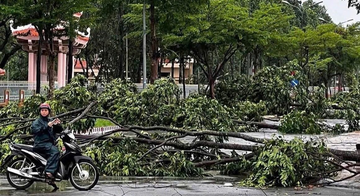GIÔNG LỐC KINH HOÀNG TẬP TIẾP GÂY TỔN THƯƠNG Ở ĐỒNG THÁP, PHÁ HỦY LỄ HỘI SEN ĐANG NỔI!