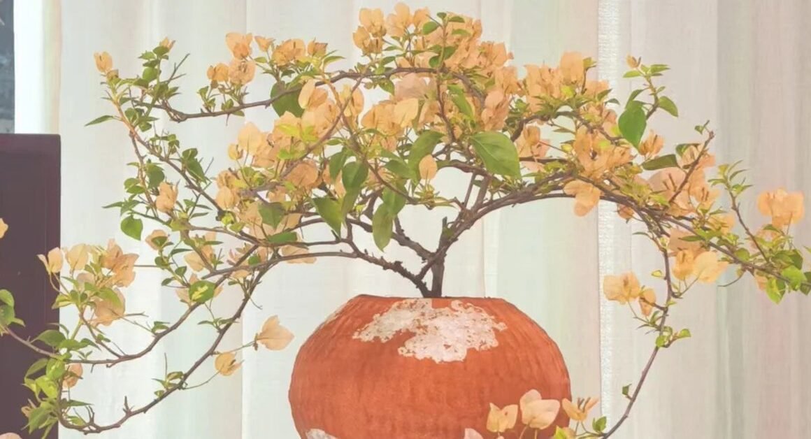 KHÁM PHÁ NHỮNG MẸO VÀNG ĐỂ ĐỂ HOA GIẤY BONSAI SỐNG SÓT VÀ TẠO NÊN ĐIỀU KỲ DIỆU CHO KHÔNG GIAN CỦA BẠN!
