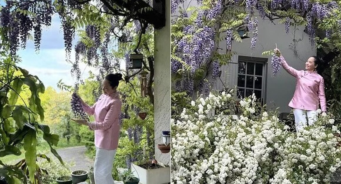 KHÔNG NGỜ RẰNG ĐẾN THỜI ĐIỂM HIỆN TẠI, CƠ NGƠI CỦA NGƯỜI ĐẸP HÀ THÀNH MỘT THỜI ĐƯỢC BỊNG DANH LÀ VUA NÀO CŨNG KHIẾN DÂN TÌNH KHÓ TRỐI MẮT