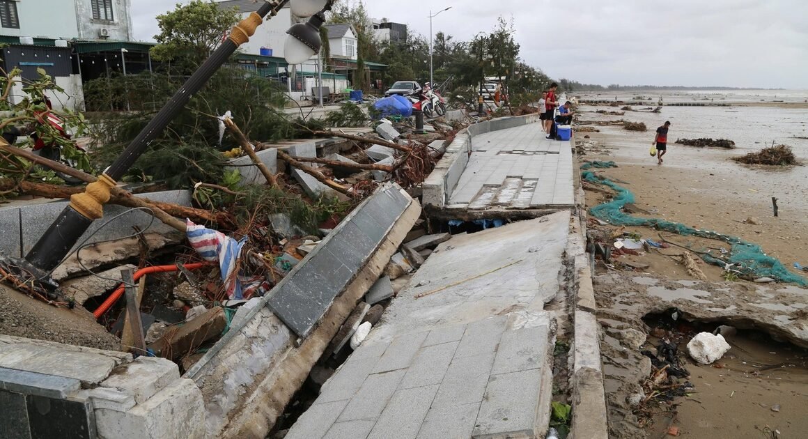 BÃO SỐ 1 PHÁ HOẠI TRÀ CỔ, DƯỜNG CỔ THỤ ĐỔ HÀNG LOẠT – LIỆU CÔNG CUỘC PHỤC HỒI CÓ DỄ DÀNG?