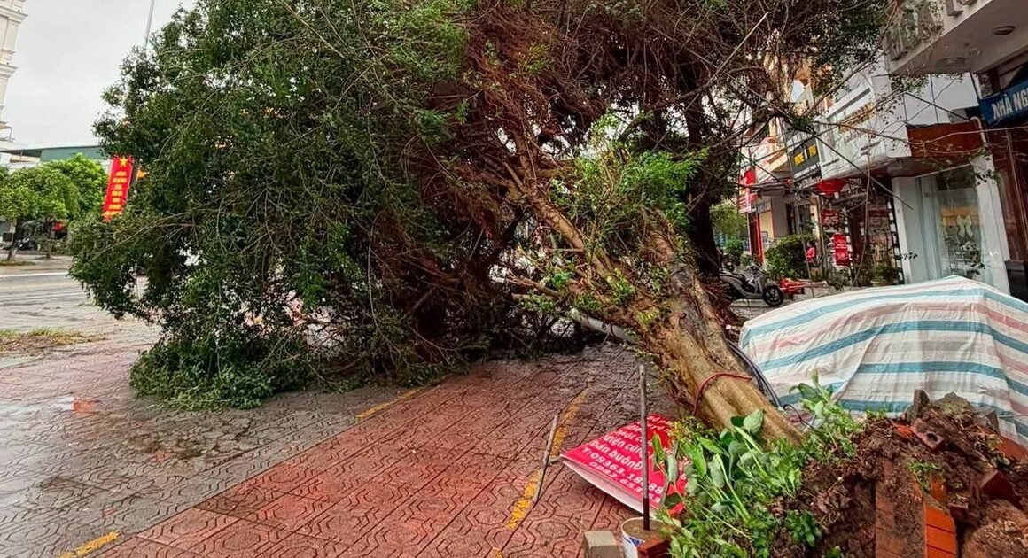 BÃO SỐ 1 GÂY MƯA LỚN, GIÓ GIẬT KHẨP CẦU, CẢNH BÁO NGƯỜI DÂN VÀ DU KHÁCH HẢY CHUNG TAY ỨNG PHÓ!