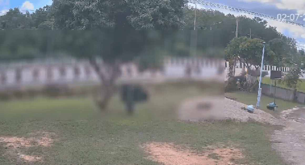 THÊM ĐAU XÓT: SỐ NGƯỜI TỬ VONG TRONG VỤ TÔNG ĐỘNG CỦA BÉ TRAI 11 TUỔI ĐÃ LÊN 10 NGƯỜI, NHÀ SƯ NẠN NHÂN MỚI CẬP NHẬT ĐẶC BIỆT ĐÁNG CHÁN!