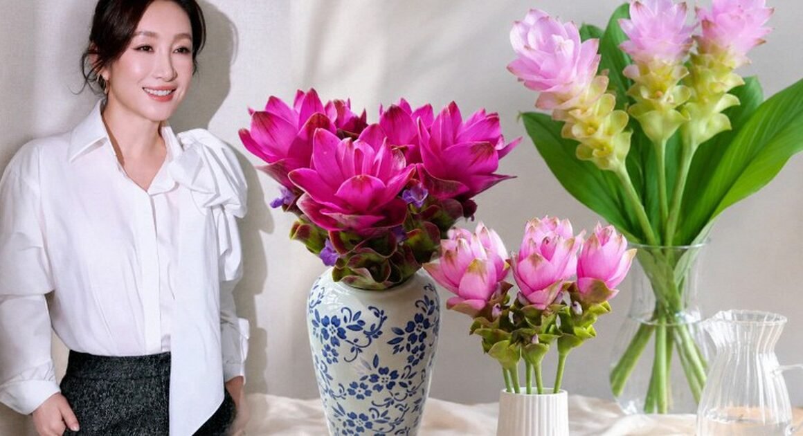 KHÁM PHÁ LOÀI HOA SANG CHẢNH VÀ BỀN BỈ NHẤT MÙA HÈ NÀY!