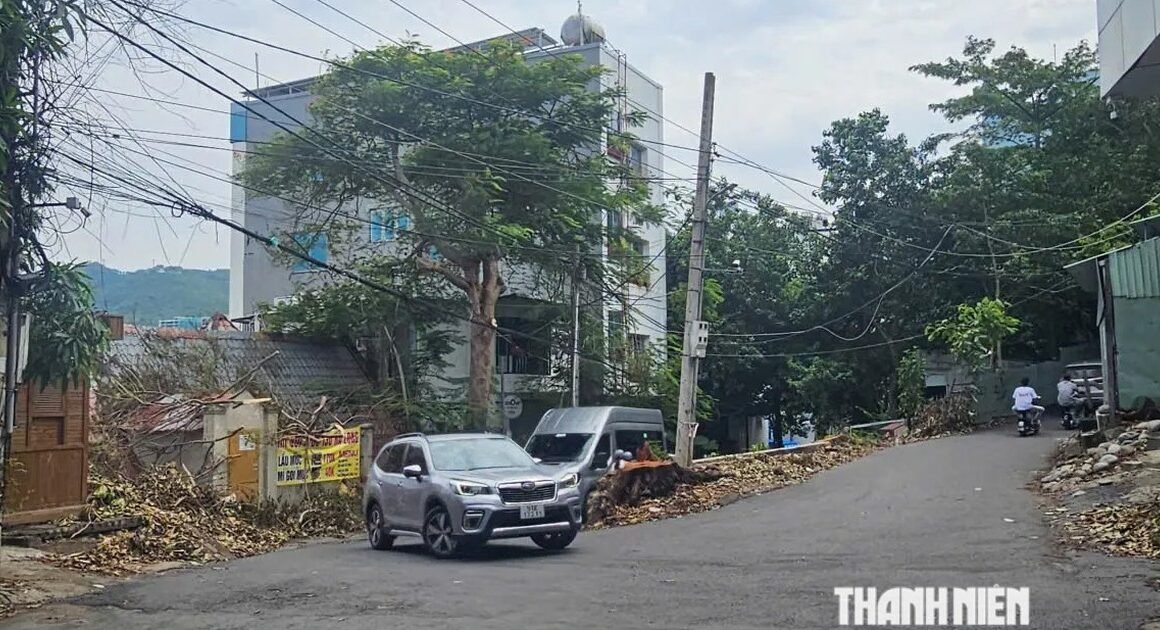 KHÁM PHÁ CẬP NHẬT MỚI: NÂNG CẤP ĐƯỜNG HẢI ĐĂNG SẼ MỞ RA GÓC NHÌN MỚI CHO DU LỊCH VÀ GIAO THÔNG!