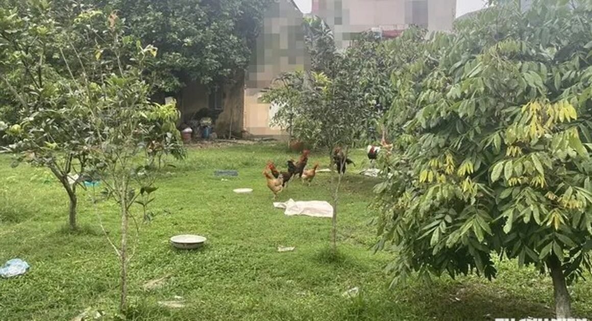 VỤ KIỆN CHIA ĐẤT THỪA KẾ HÀNG NĂM, CẢ NGUYÊN ĐƠN VÀ BỊ ĐƠN ĐỀU TÓC BẠC TRẮNG, CHƯA CÓ ĐẦU CUỐI SAU HƠN 4 NĂM AI SẼ CHO RA KẾT LUẬN?