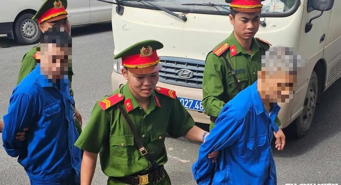 KHÁM PHÁ CƠ CHẾ TẠM HOÃN TRUY CỨU TRÁCH NHIỆM HÌNH SỰ CÓ THỂ ĐƯỢC MIỄN TRÁCH NHIỆM!