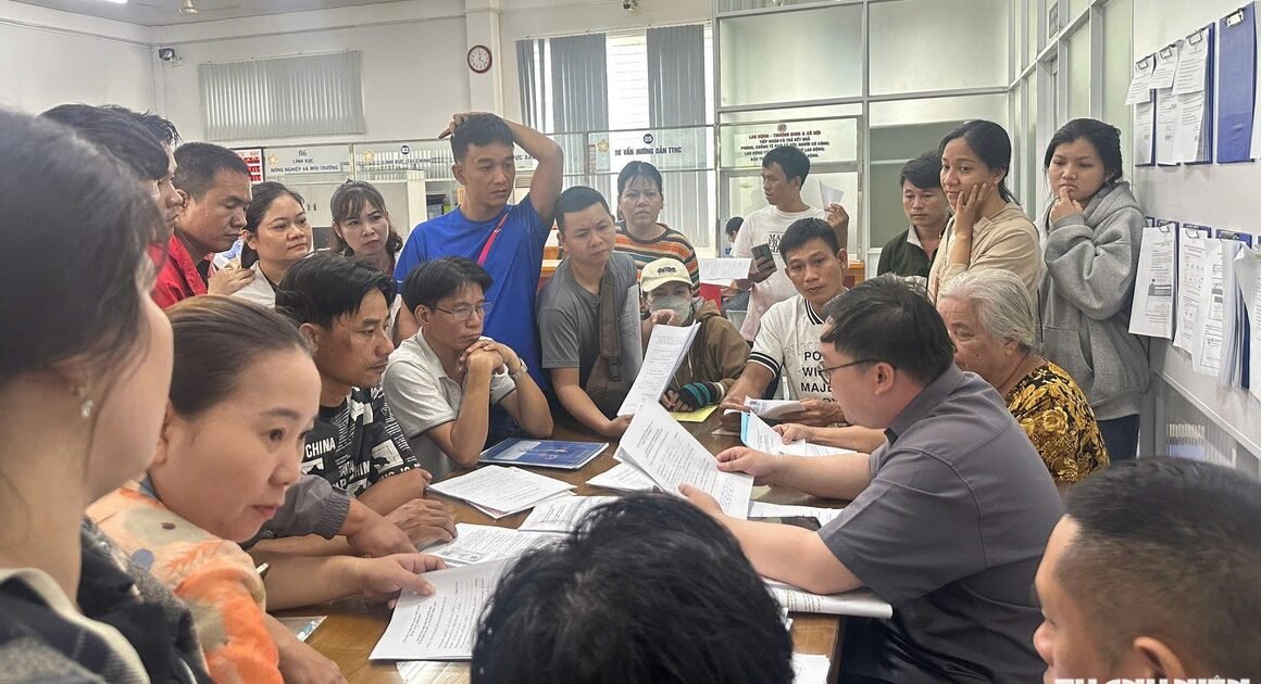 DẤU HIỆU GÂY LO LẮNG: PHỤ HUYNH TẤN CÔNG PHÒNG VĂN HÓA – XÃ HỘI YÊU CẦU GIẢI QUYẾT TUYỂN SINH ĐẦU CẤP Ở TP.HCM