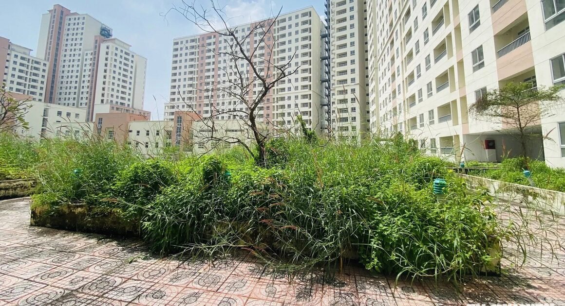 KẾT NỐI GIAO THOA: TP.HCM ĐỀ XUẤT CHUYỂN ĐỔI NHÀ TÁI ĐỊNH CƯ KHÔNG CẦN NỮA SANG NHÀ Ở XÃ HỘI, MỞ RA CƠ HỘI MỚI CHO CƯ DÂN VÀ THỊ TRƯỜNG BẤT ĐỘNG SẢN